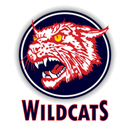 wildcats